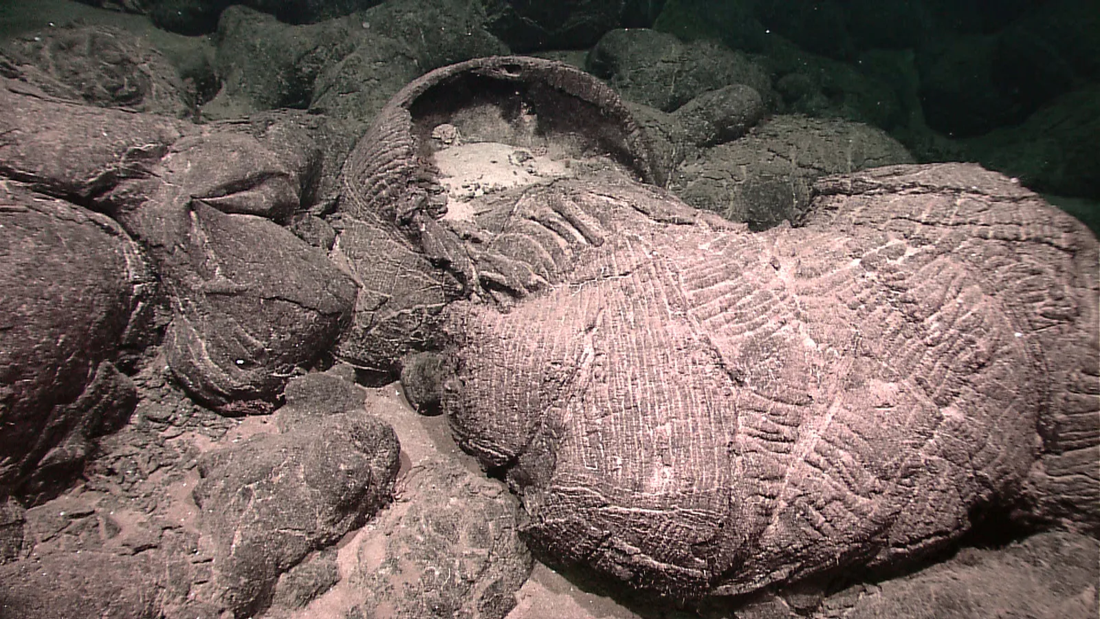 Open Lava Tube - NOAA Ocean Exploration