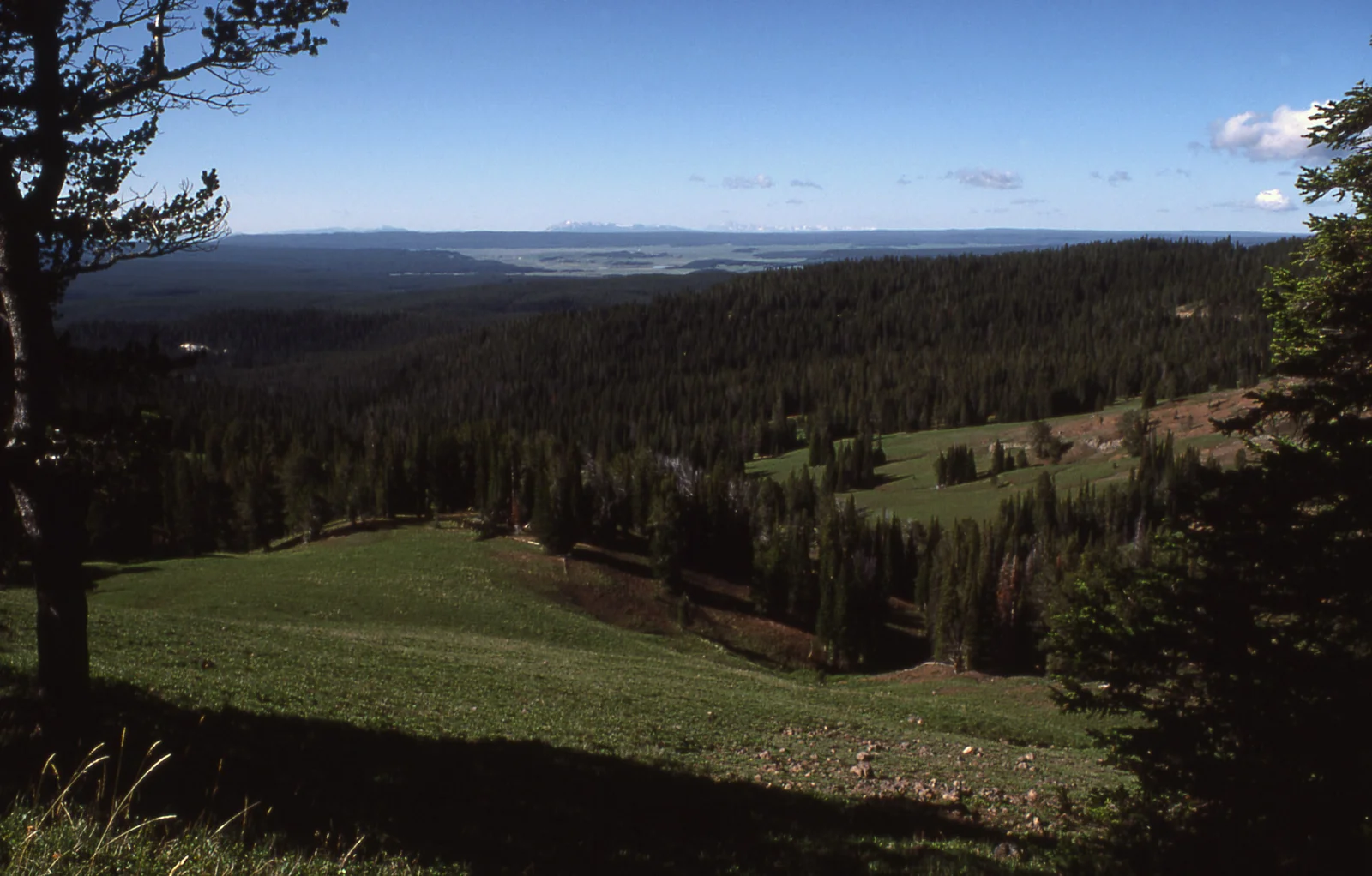 Hayden Valley from Dunraven Pass - Red Mtns. in distance