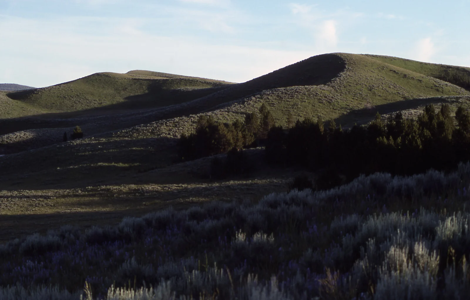 Hayden Valley