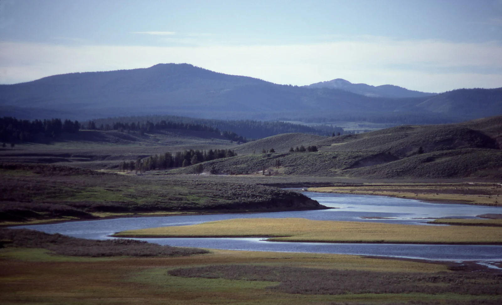 Hayden Valley - Yellowstone River & Washburn Range
