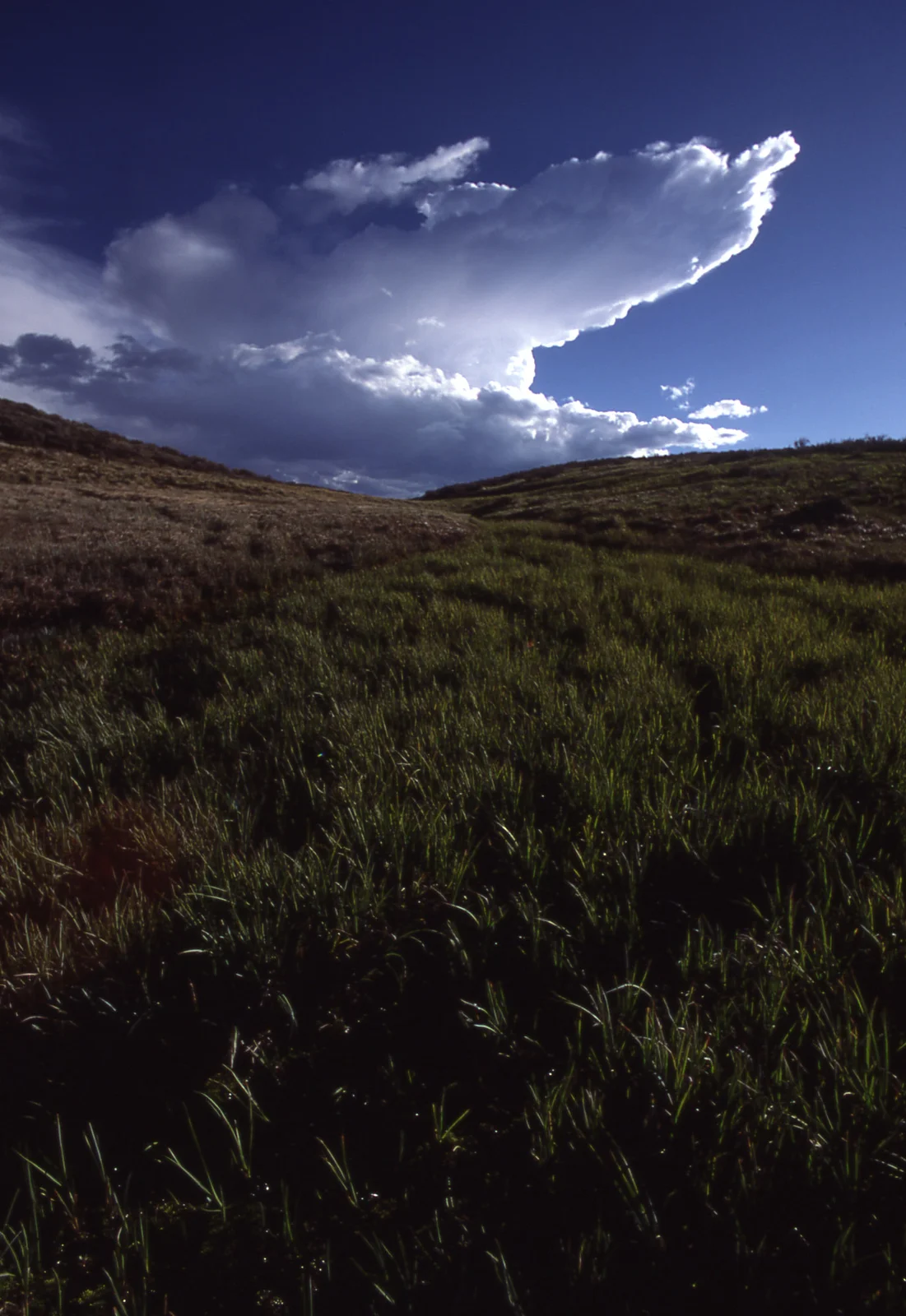 Hayden Valley with clouds