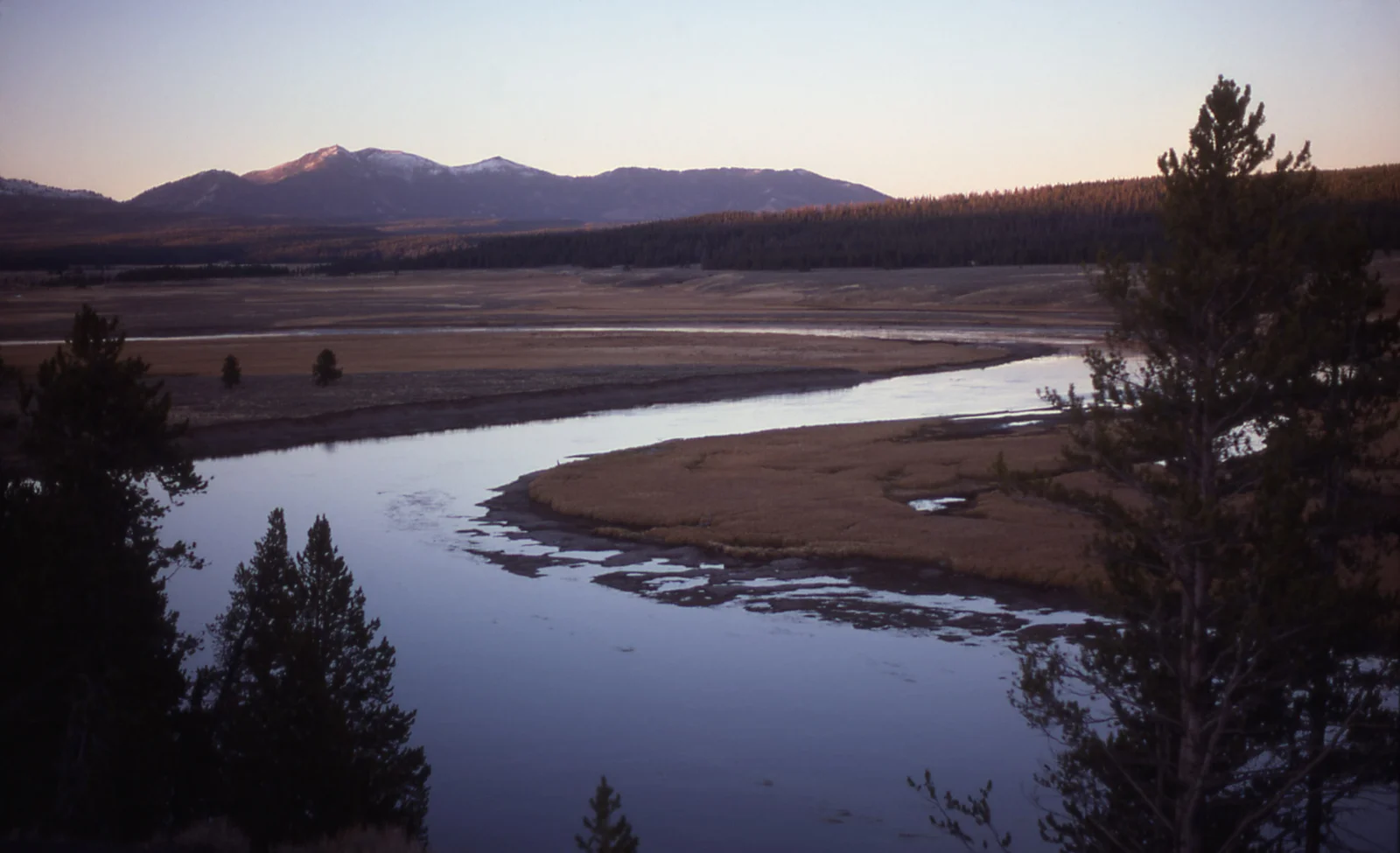 Hayden Valley - Yellowstone River & Washburn Range