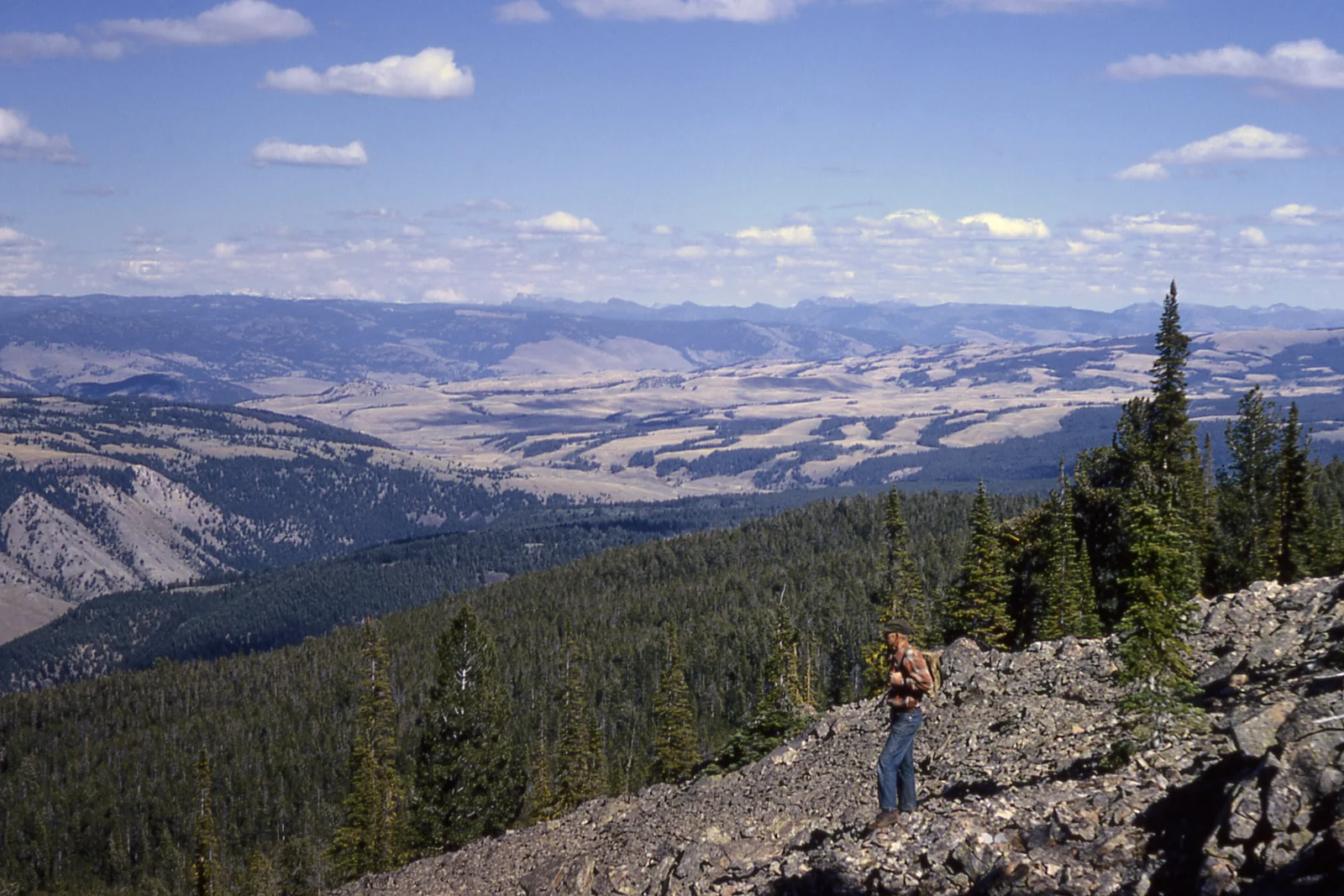 View to the NE from summit of Bunsen Peak - Blacktail Plateau