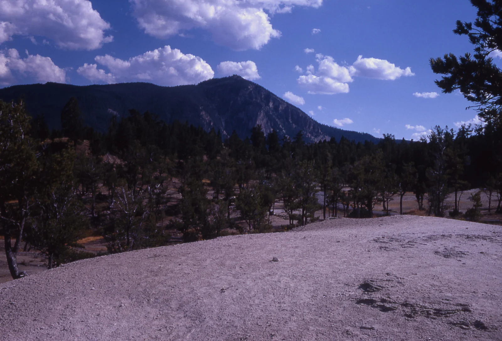 Bunsen Peak fro upper terraces