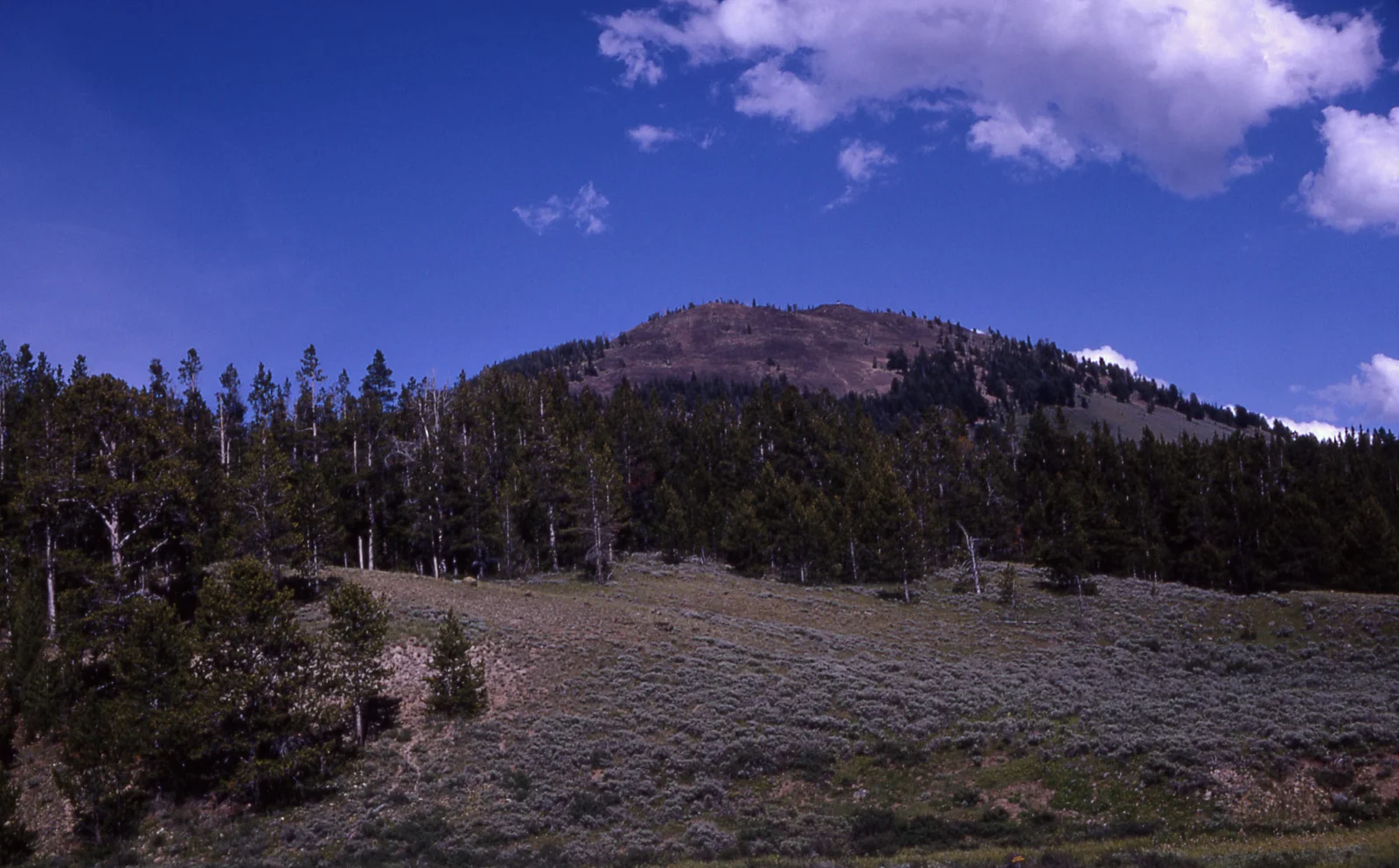 Bunsen Peak