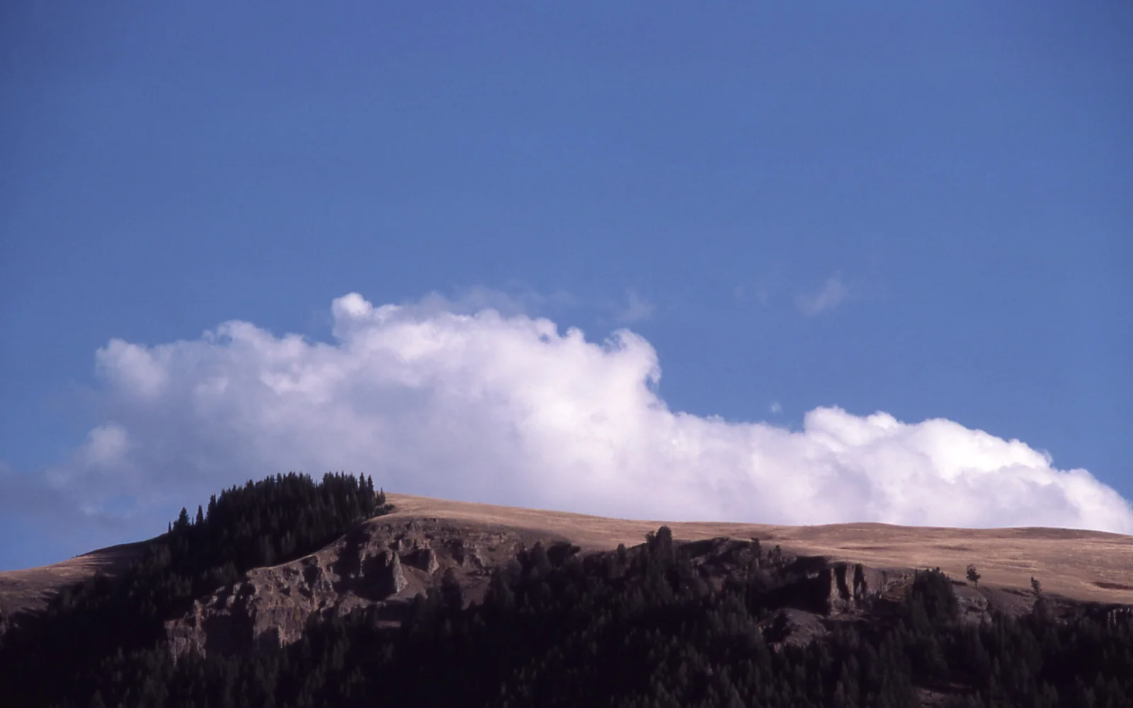 Specimen Ridge