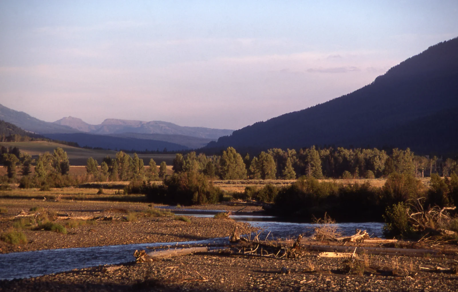 Lamar Valley & River