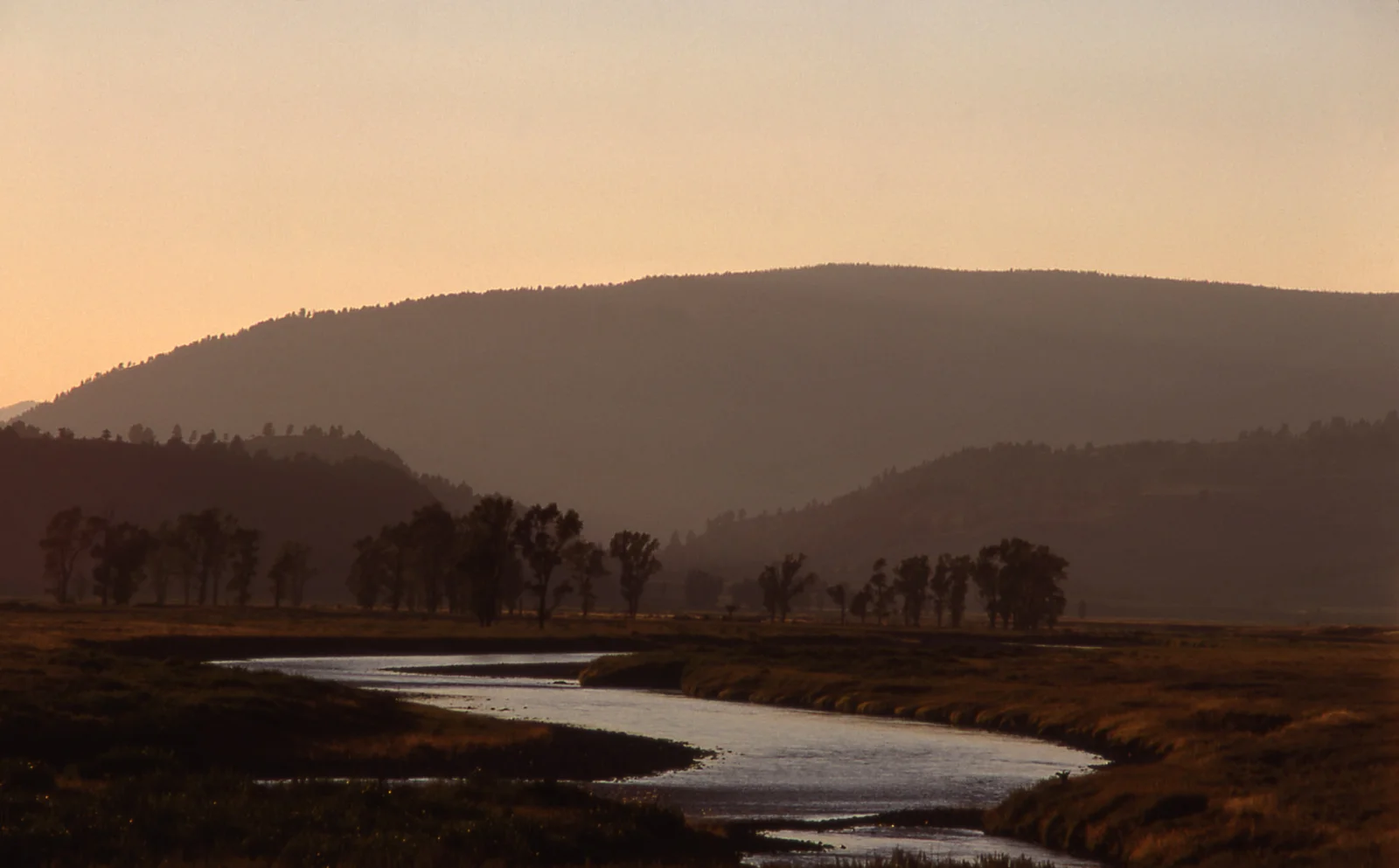 Lamar River & Valley