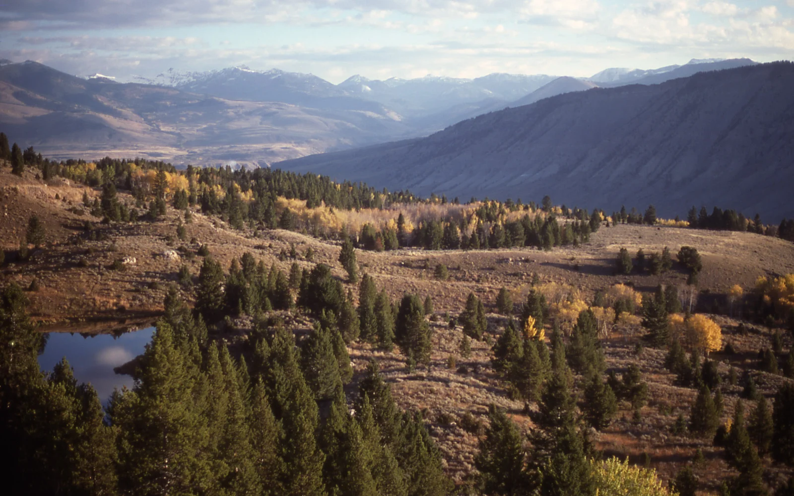 Mt Everts & Gallatin Range