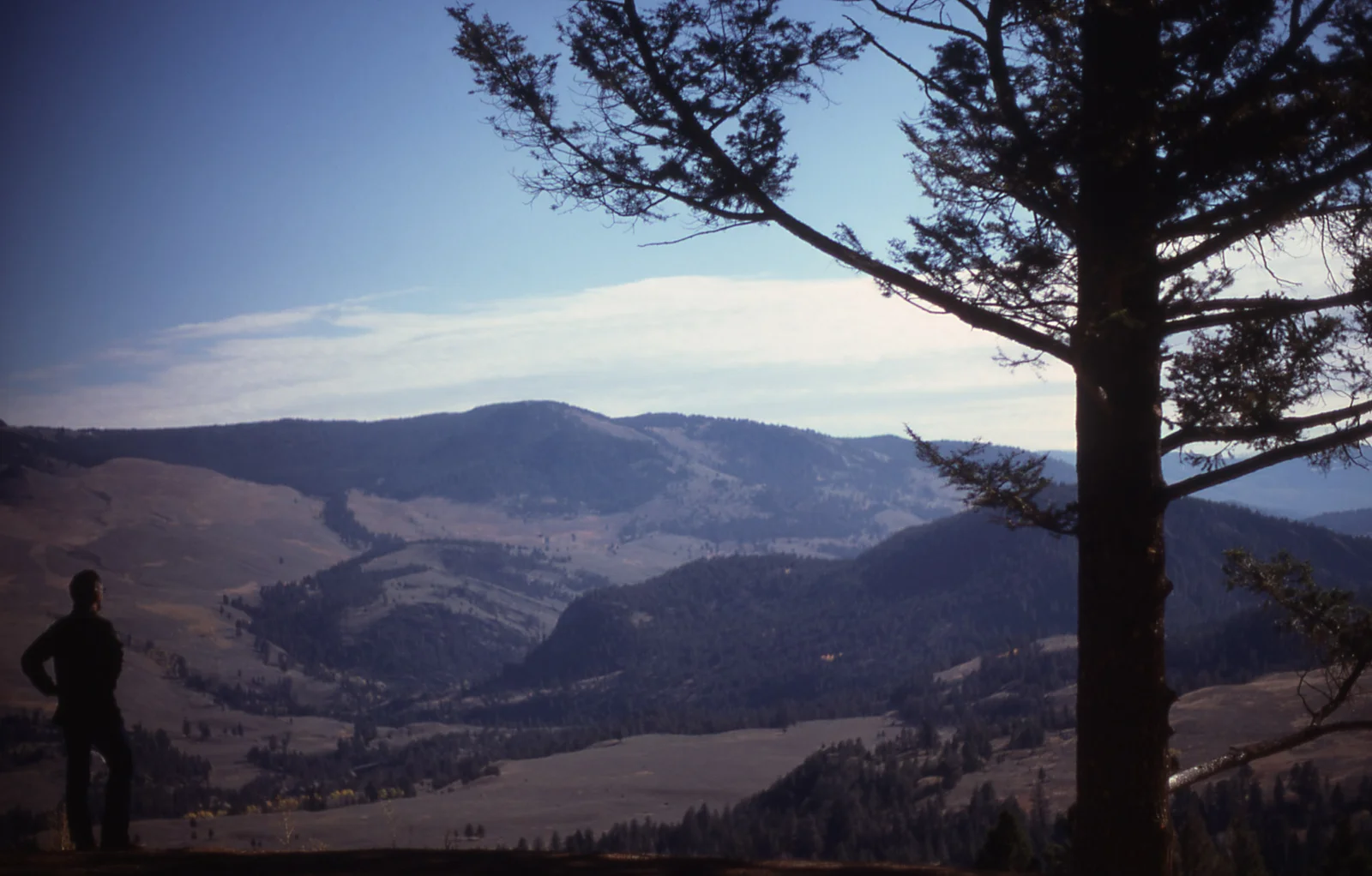 Hellroaring Creek & the Yellowstone river area