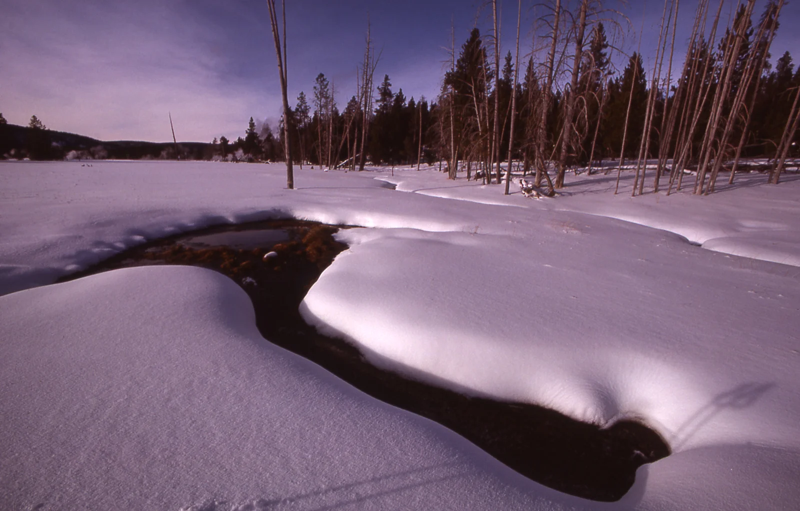 Winter in the Upper Geyser Basin