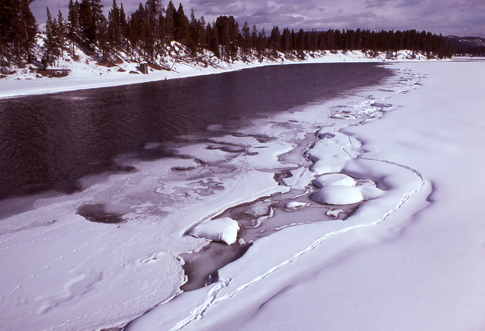 Yellowstone River at Fishing Bridge in winter