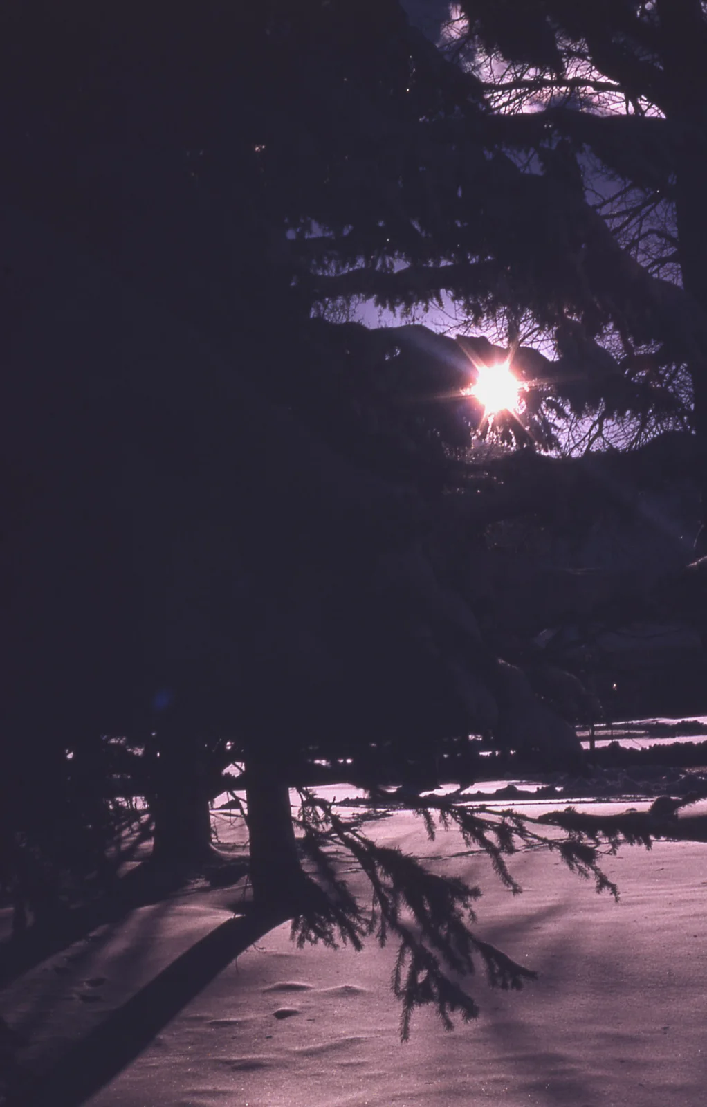 Sunlight on snow in winter