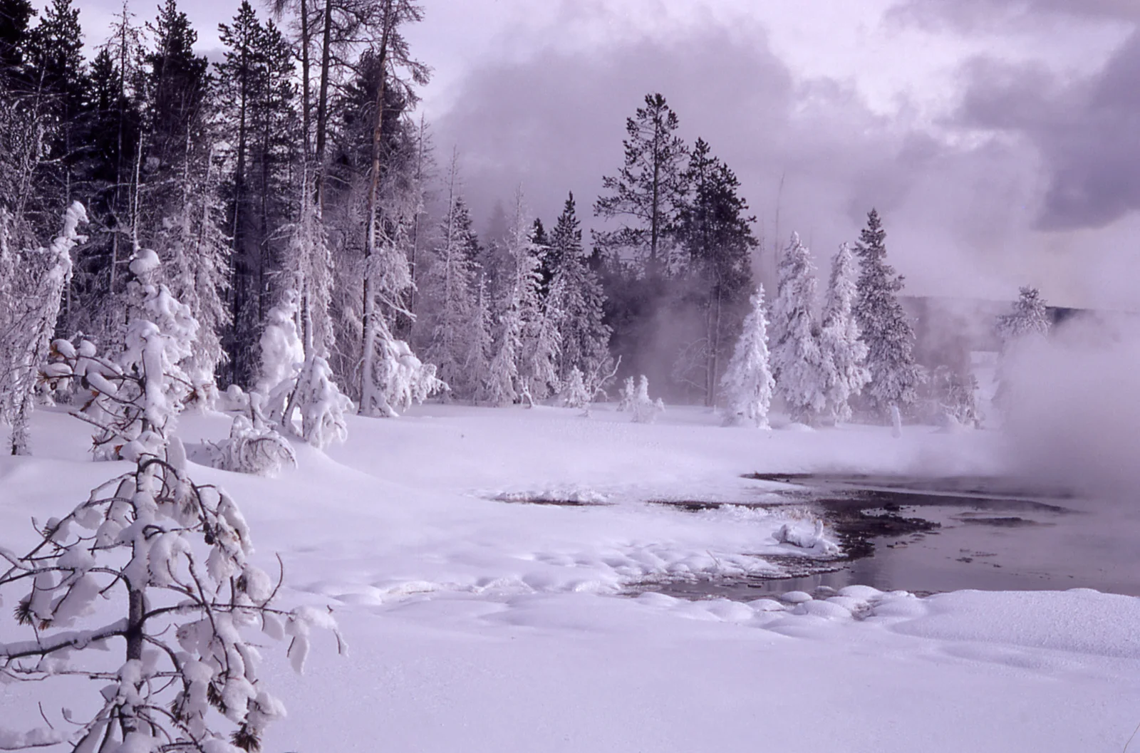 Upper Geyser Basin in winter