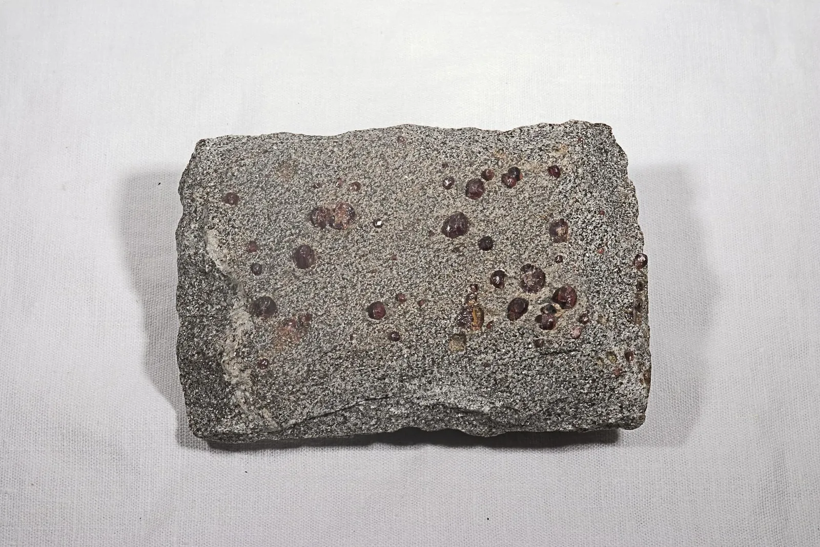 Garnet schist